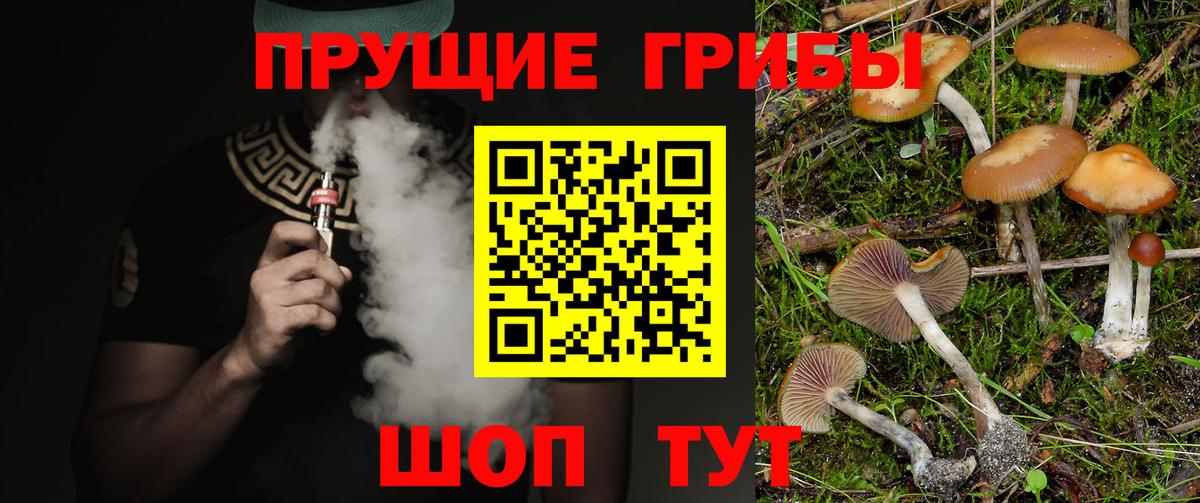 Галлюциногенные грибы Cubensis  Вход с VPN  Галлюциногенные грибы Magic Shrooms  Слободской 